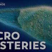 Unsolved Mysteries Of The Microcosmos