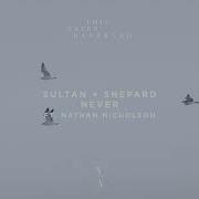 Sultan Shepard Never Feat Nathan Nicholson