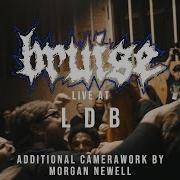 Bruise 02 07 19 Live LDB Fest