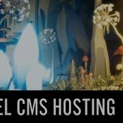 How To HOST YOUR CHISEL CMS Using Forge
