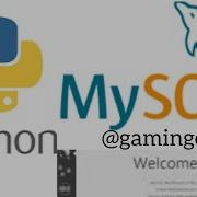 Python Connect MySQL Database Read Data From Table