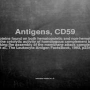 Medical Vocabulary What Does Antigens CD59 Mean