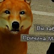 GMOD бан за слив админки DARK RP