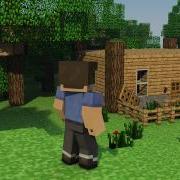 Spawn Test Minecraft Animation