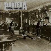 Domination Pantera D Standard