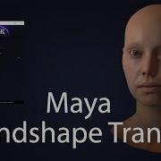 BlackMagic Rigging Plugin Blendshape Deformation Transfer