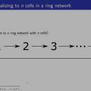20210713 Parallel NEURON Simulations
