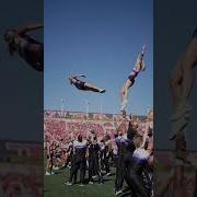 Game Day Baskets Shorts Cheer Stunt