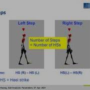 Gait Analysis Parameters