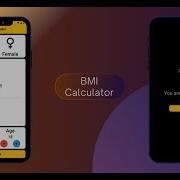 Build A BMI Calculator In Flutter