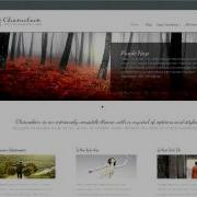 Wordpress Themes With Flash