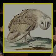 The Truth About Truth And The Mysteries Of Objective Reality Lex Fridman And John Vervaeke