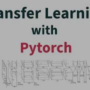 Transfer Learning Explained A Complete PyTorch Tutorial