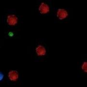 3D XNA Demo