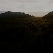 GPU Grass Vs LGT