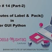 Attributes Of Label Pack In Tkinter GUI Python