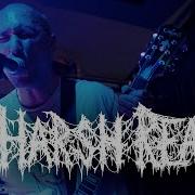 HARSH REALM Live In NYC Gold Sounds April 28 2025 FULL SET