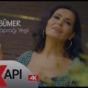 Oya Sümer Zeytin Yaprağı Yeşil Official Video Klip