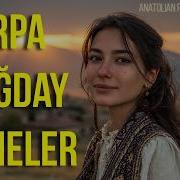 Arpa Buğday Daneler Psychedelic Anatolian Rock Cover