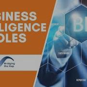 Business Analysis Vs Business Intelligence Roles
