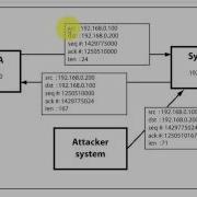 Module 7 TCP IP Hijacking