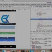 Ionic 2 Angular 2 Form Validation Part 8