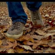 Walking On Crunchy Autumn Leaves Sound Effect And Stock Video Footsteps Through Fall Leaves FREE