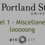 PicoCTF 2017 Looooog Walkthrough