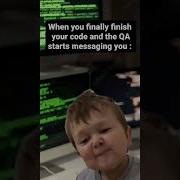 Developer Tester Relationship Programminghumor