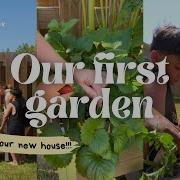We Built Our First Family Garden Will Anything Actually Grow