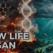 How The Universe Accidentally Created Life On Earth Documentary For Sleep