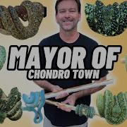 RARE Melanistic Green Tree Pythons The MOST EPIC Reptile Room Tour In The World Bill Stegall