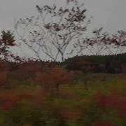 East Sleeping At Last Micro Music Video