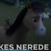 Doru Herkes Nerede 61 Bölüm