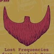 Lost Frequencies Feat Janieck Devy Reality Extended