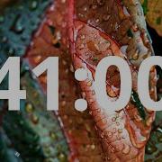 41 Minute Countdown Timer With Alarm Simple Beep
