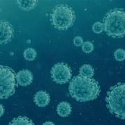 COVID 19 Corona Virus Loop Animated Background Royalty Free Footage Free Motion Background Loops