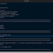 Parallelization On Cypress Using Cy Runner