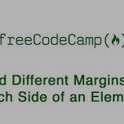 Basic CSS Add Different Margins To Each Side Of An Element FreeCodeCamp
