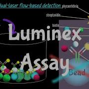 Luminex Assay Multiplex Immuno Assay Luminex XMAP Technology Multiplex Assay