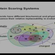 IBB 7 Sequence Alignment