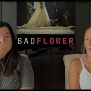 Реакция D N A Badflower Ghost