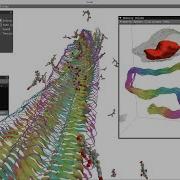 VIAMD Spatial Distribution Function