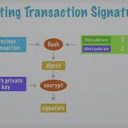 Bitcoin Part 3 Smart Contracts