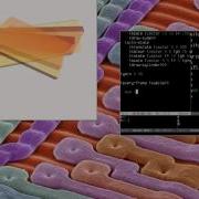 Tidalcycles Fluxus Emacs Multi Live Coding Test 2 Part2