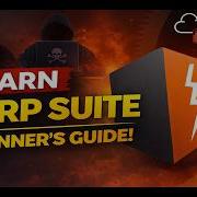 TryHackMe Burp Suite The Basics Hindi Walkthrough Complete Guide