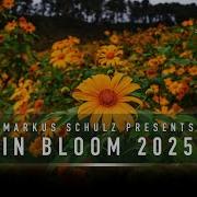 Markus Schulz In Bloom 2025 Best In Vocal Dance Vocal Trance Vocal Progressive House