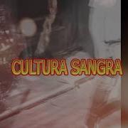 PROGRAMA 14 CULTURA SANGRA