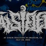 Falsifier Chain Reaction In Anaheim CA 7 28 2022 FULL SET