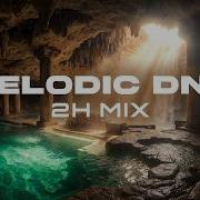 Nature Heals All Deep Atmospheric Liquid Drum Bass 2 Hour Mix
